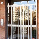 Carlotta Silvani * Bologna