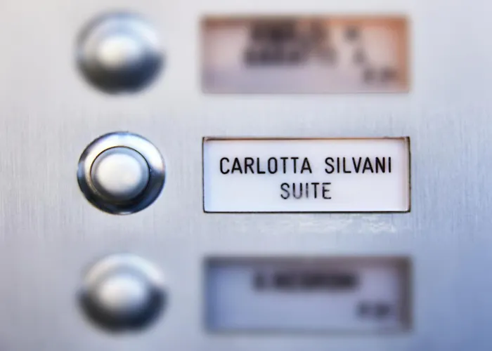 Carlotta Silvani Bolonia